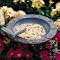 Dragonfly Garden Bird Feeder