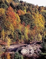 Birthplace of Vermont Photograph - Beautiful 16"x20" Photographic Print by Carol M. Highsmith