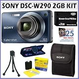 Sony Cyber-shot DSC-W290/L 12.1 MP Digital Camera in Blue + Sony Digital Camera Case + 2GB Accessory Kit