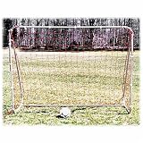 Goal Sporting Goods Small Sided Steel Sports Goal (6' x 8')