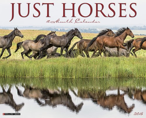 Just Horses 2015 Wall Calendar