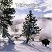 Yellowstone National Park 2006 Calendar (Regional Places Wall Calendars)
