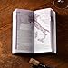 Hugh Johnson's Pocket Wine Book 2013
