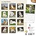 Great Pyrenees 2016 Calendar