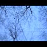 Ben Weaver "White Snow"