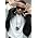 Vignette de Bow Wow