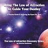 Using the Law of Attraction to Guide Your Destiny: A Practical Guide to Achieving the Future You Want