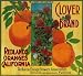 Redlands Clover Flowers Orange Citrus Fruit Crate Box Label Art Print