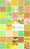 Amy Butler 6.5 MIDWEST MODERN Fabric Squares Quilting Kit