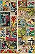 MARVEL COMICS/}[xR~bNXiCOMIC PANELjsPPA-022t|X^[LN^[ObYiPOSTERjʔ́