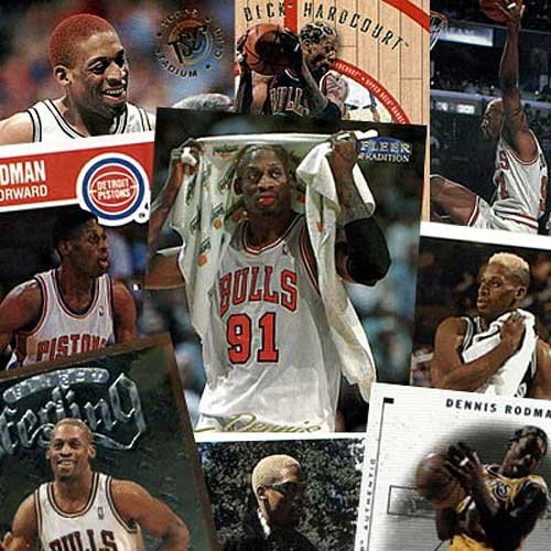 Various Brands Chicago Bulls Dennis Rodman 20 Trading Card Set