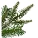 Barcana, 7 1/2 Foot, Monterey Pine iTree Techno Tree, Clear Incandescent Mini Lights and Multi Incandescent Mini Lights 650 650 61KfjEDXNPL. AA75 Barcana, 7 1/2 Foot, Monterey Pine iTree Techno Tree, Clear Incandescent Mini Lights and Multi Incandescent Mini Lights 650 650