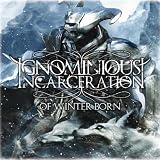 In The Face Of Absolution