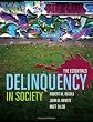 Delinquency in society : the essentials