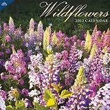 2012 Wildflowers 12X12 Wall  calendar