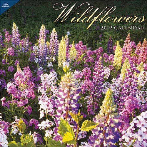 2012 Wildflowers 12X12 Wall  calendar