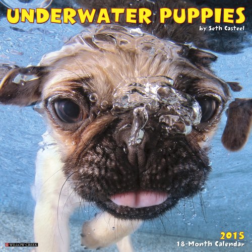 Underwater Puppies 2015 Mini Calendar