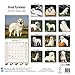 Great Pyrenees Calendar - Breed Specific Great Pyrenees Calendar - 2016 Wall calendars - Dog Calendars - Monthly Wall Calendar by Avonside