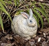 Evergreen 84975 Garden Portly, Rabbit, 10.5-Inches x 8.5-Inches