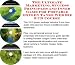 The Ultimate Marketing, Success Principles and Inner Game for Portable Oxygen Tanks Web Biz 3 CD Course