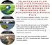 Search : Massive Cash Flow Pack with Promotion, Godfather Principles and Sales Models for Telephones Web Businesses 3 CD Power Pack