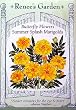 Marigolds Summer Splash Seeds 35 Seeds