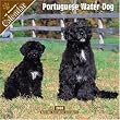 Portuguese Water Dog 2008 Wall Calendar