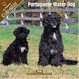 Portuguese Water Dog 2008 Wall Calendar
