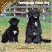 Portuguese Water Dog 2008 Wall Calendar