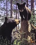 Stump Jumper by Lee Miller. Size 16.00 inches width by 20.00 inches height. High Quality Art Poster Print