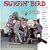Surfin' Bird