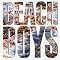 The Beach Boys ����i���W���P�V���[�Y�j1970�N�`