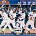 New York Mets 2008 Wall Calendar by Turner