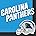 carolina panthers