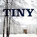 Tiny Houses by Mimi Zeiger ISBN 0847832031