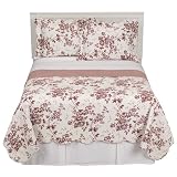 Floral Toile Quilt Set