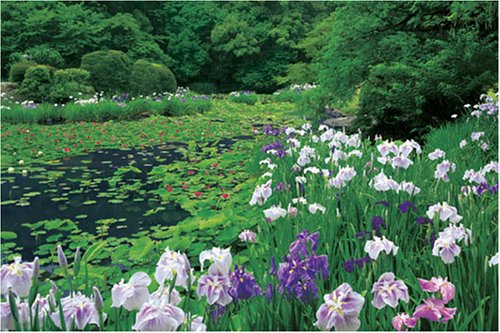 パズルの達人 1500ピース 菖蒲咲く氷室の池-京都(勧修寺) 15-522