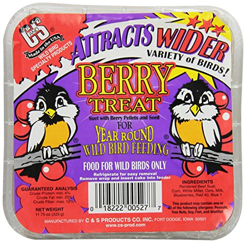 C&S Berry Suet Treat 11.75 Ounces, 12 Pack