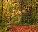 Westcott 832 5-Inch x 6-Inch Pathway Scenic Background