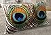 Fablegent Elegant Decorative Throw Pillow Cover - Rectangular Peacock Feather Fashion Design on Both Sides - Soft Velvet Fabric - XH100