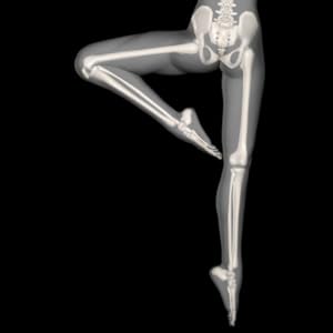 Amazon.com: 360° Anatomy for Artists: Female Ballet: Appstore for Android
