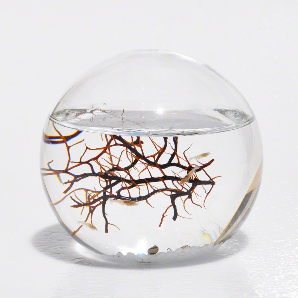 EcoSphere Small Sphere 4 x 4 x 4 inches