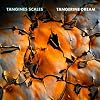  Tangines Scales