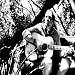 Lets Do It at MP3 downloads for the name: 61KqjGQlfuL._SL75_