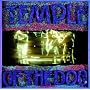 Temple Of The Dog