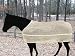 Abetta Anti-Sweat Fly Sheet