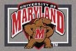 Maryland Terrapins 5' 4" x 7' 8" Team Spirit Area Rug