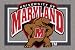 Maryland Terrapins 7' 8" x 10' 9" Team Spirit Area Rug