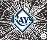 Tampa Bay Devil Rays Shattered Mini-Cutz Window Decal