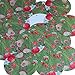 Sequin Pink Red Poppy Field Flowers Poppies Round 1.5 inches Couture Loose Paillette Sequins